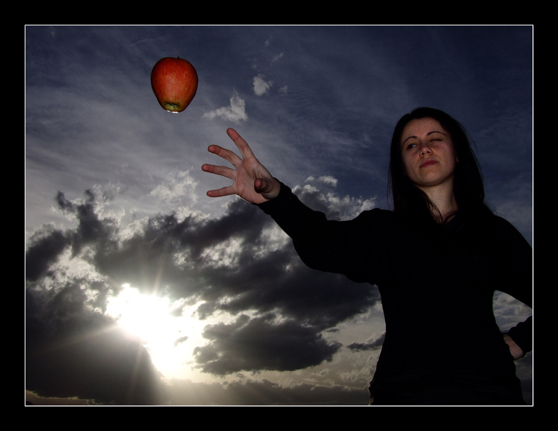 Contest - Carpe Diem