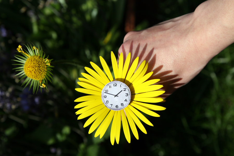 Contest 33 - Carpe Diem