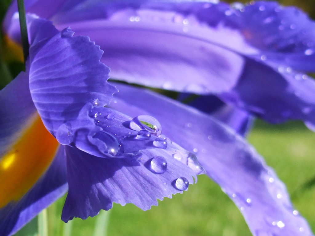 Gocce.........semplicemente