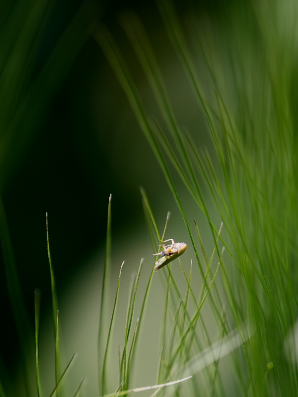 Equilibrio instabile