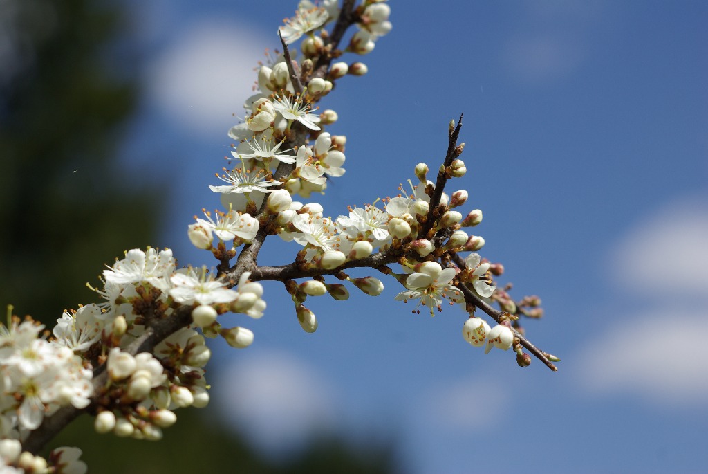 Primavera in montagna