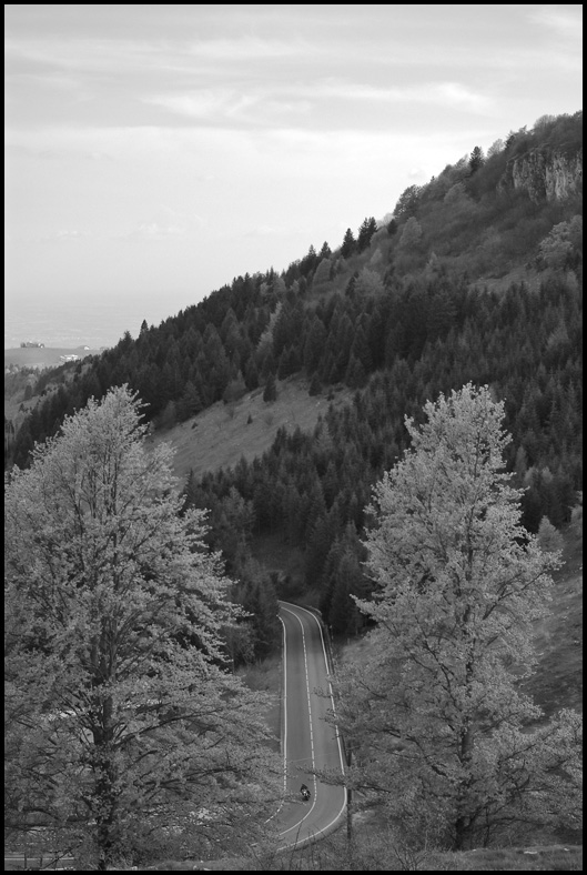 Podestaria di Bosco Chiesanuova