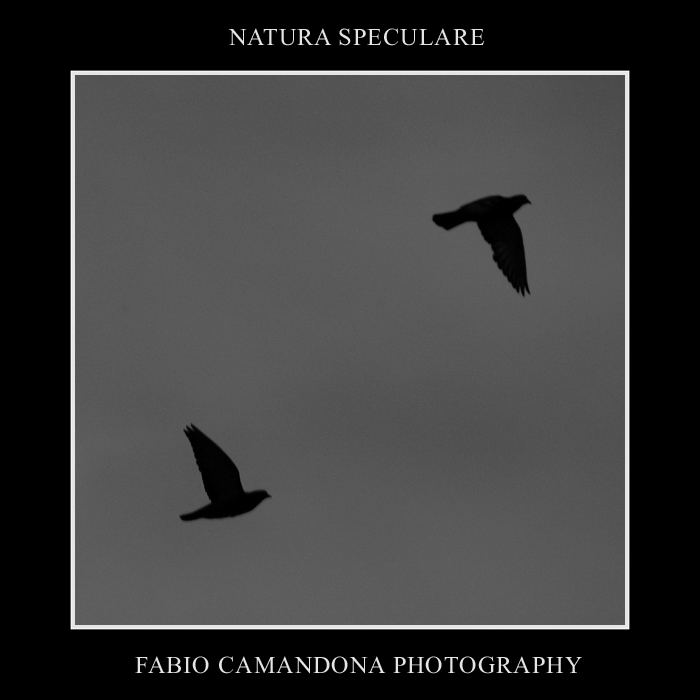 natura speculare