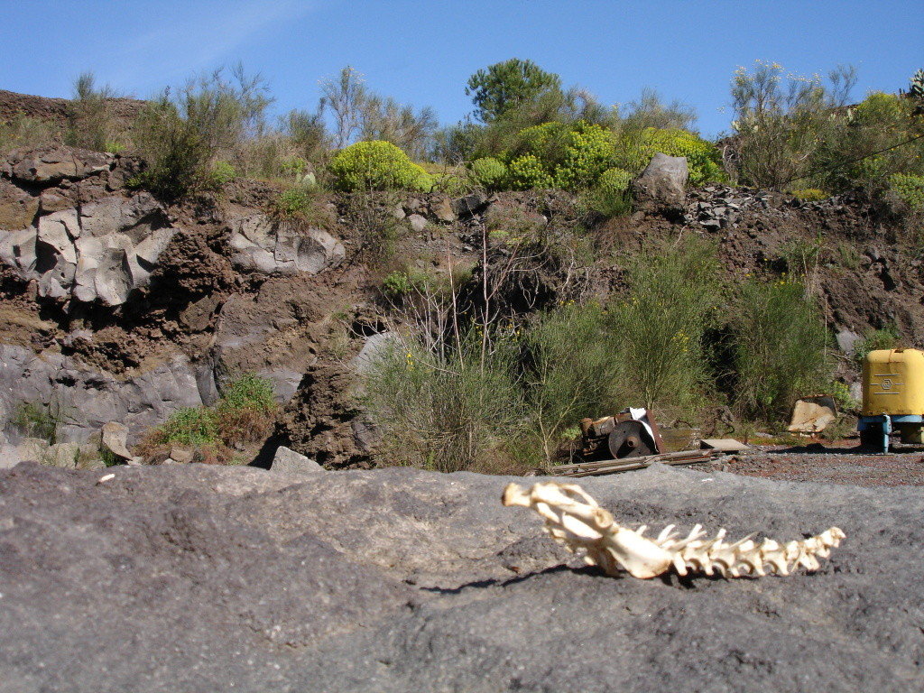 La moorte delle tradizioni