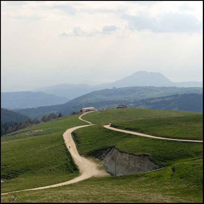 Podestaria di Bosco Chiesanuova, 2008