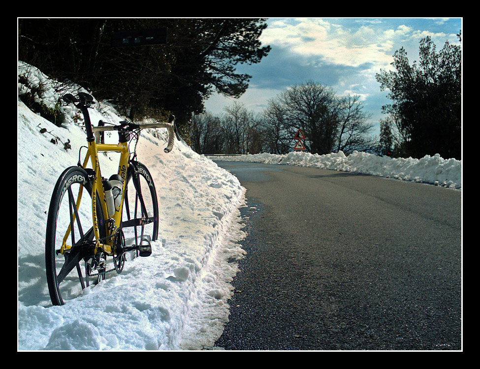 fedele amica di avventure