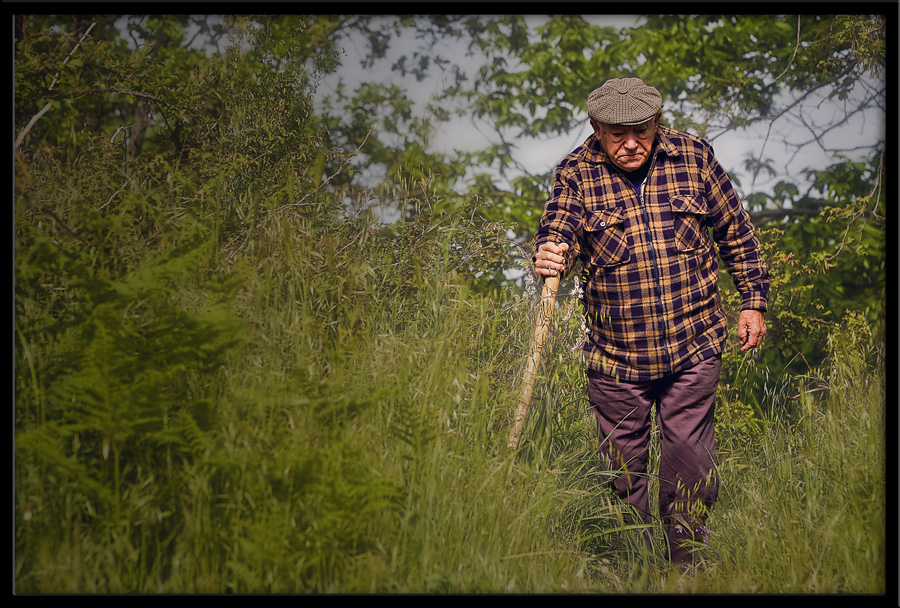 ognuno segue il proprio sentiero