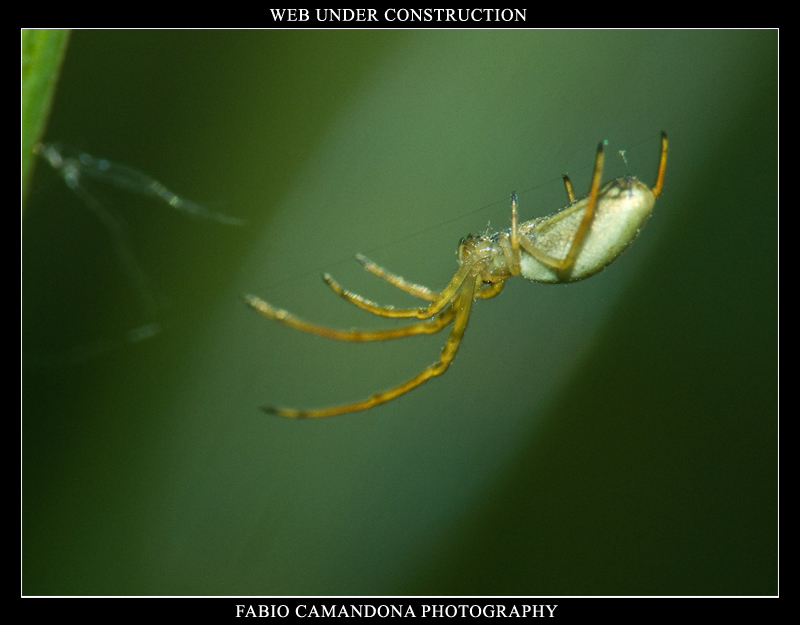 web under construction