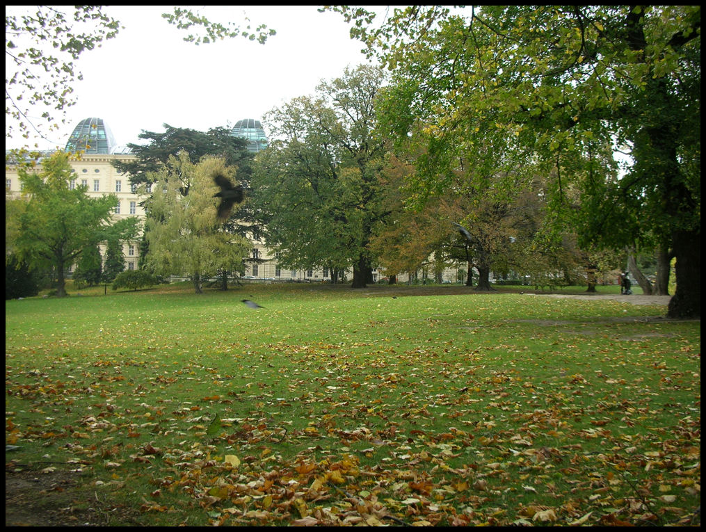 Colori autunnali in movimento