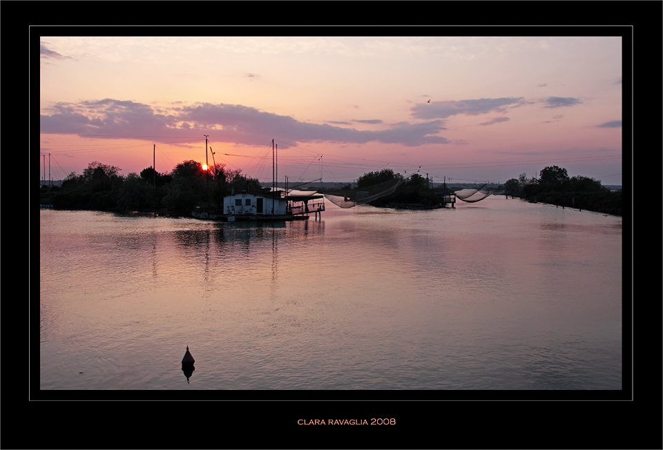 Sera pacificata......