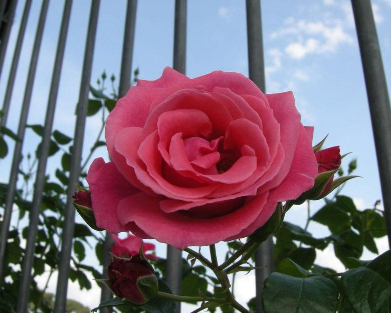 ...voglia di evadere...