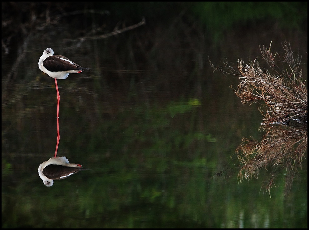 In equilibrio...nel suo mondo