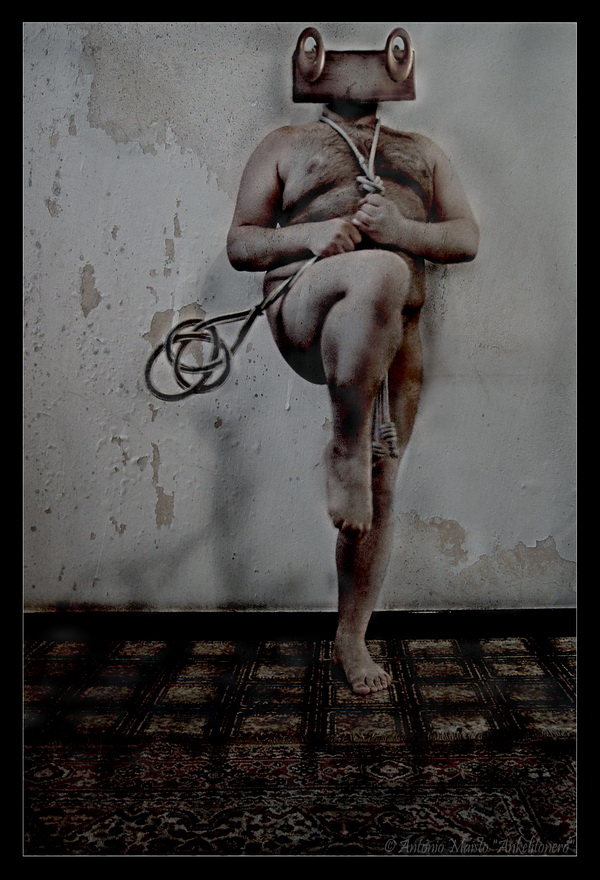 Il Signore delle Rane