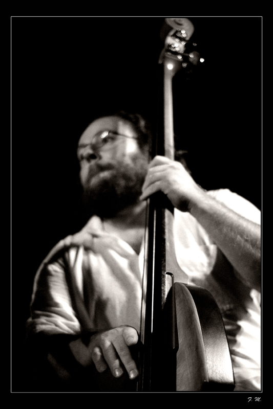 Il contrabbasso