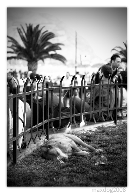 Confortevoli prigioni volontarie