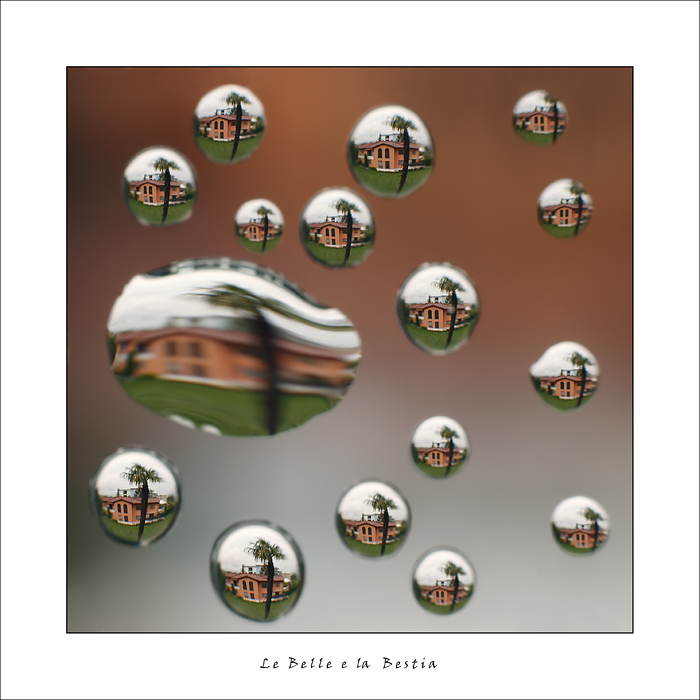 le Belle e la Bestia