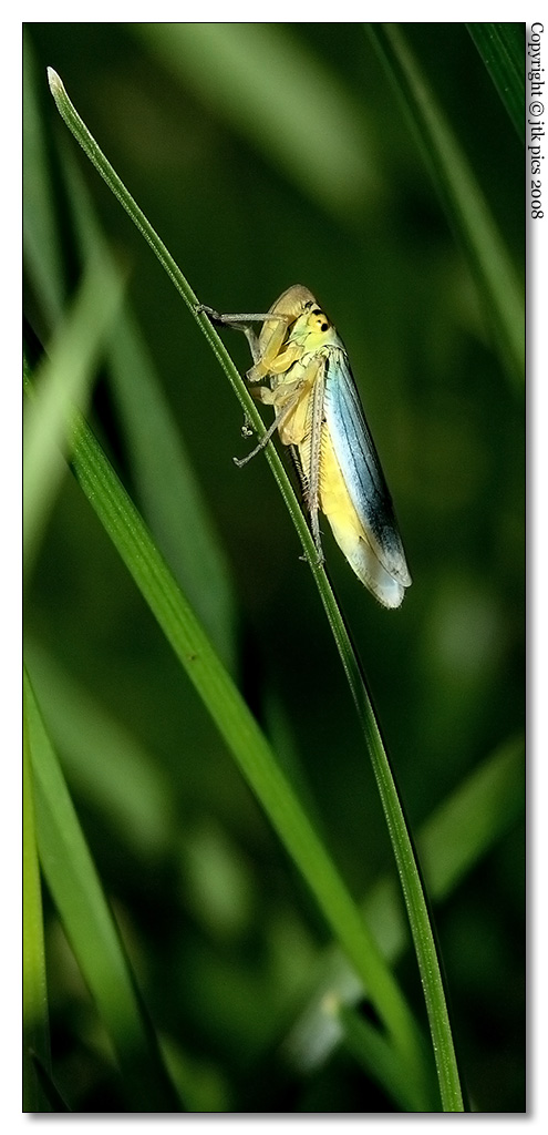 su che filo abiti tu?