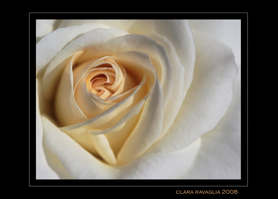 Immergersi... nel giallo