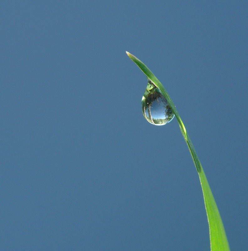 Tutto...in una goccia