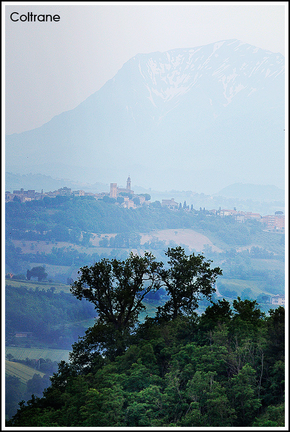 Paesaggio marchigiano