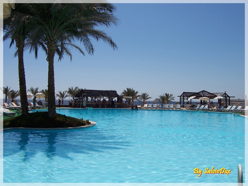 Sharm El Sheik -  Piscina