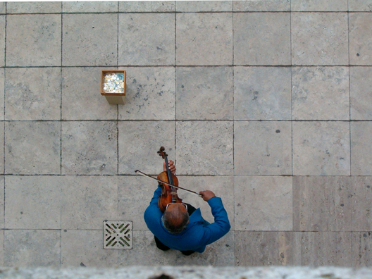 violin