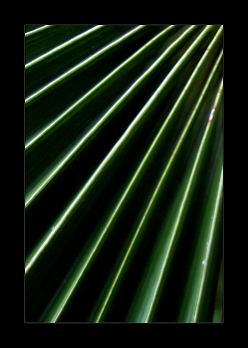 I raggi di un sole nuovo