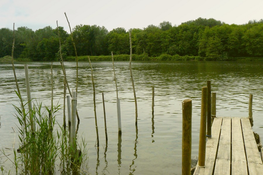 Alla foce del Serchio