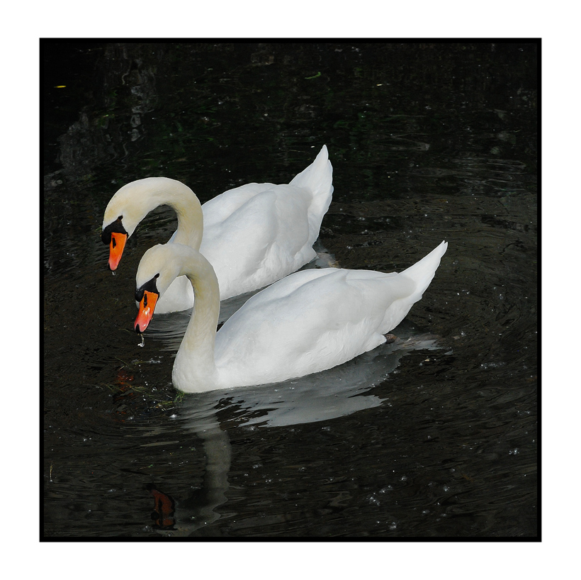 une histoire d'amour