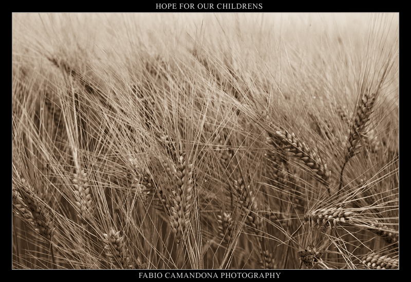 HOPE FOR OUR CHILDRENS