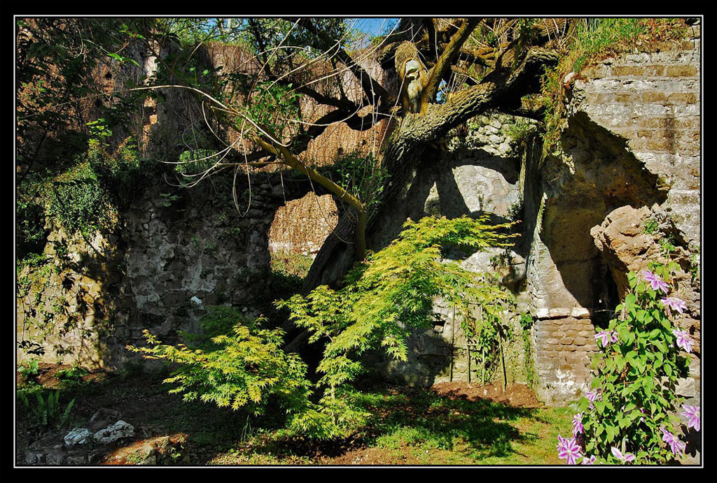 luci e ombre sul passato