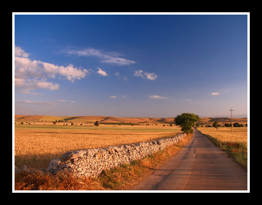 ...Sulla via del grano...