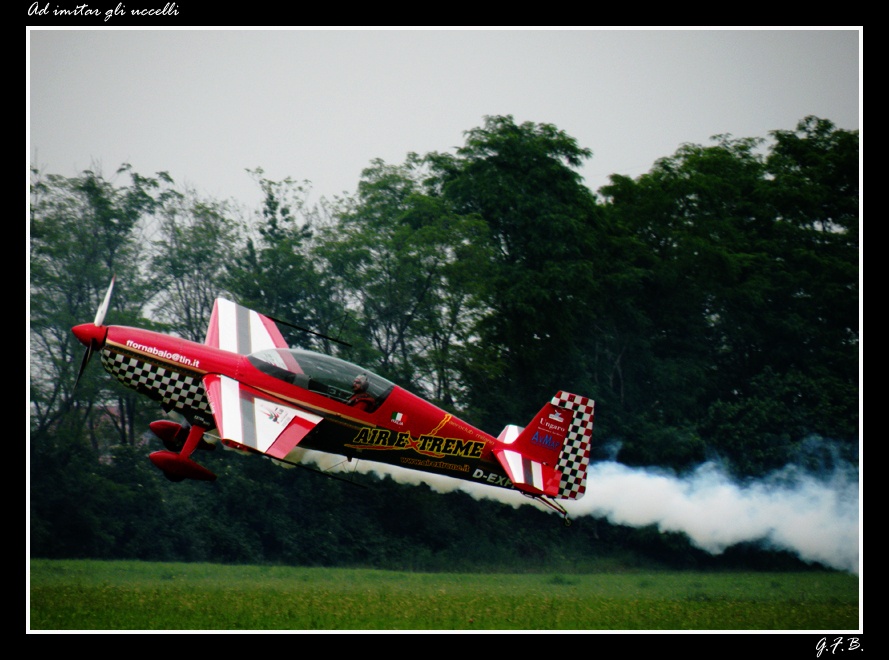 Ad imitar gli uccelli