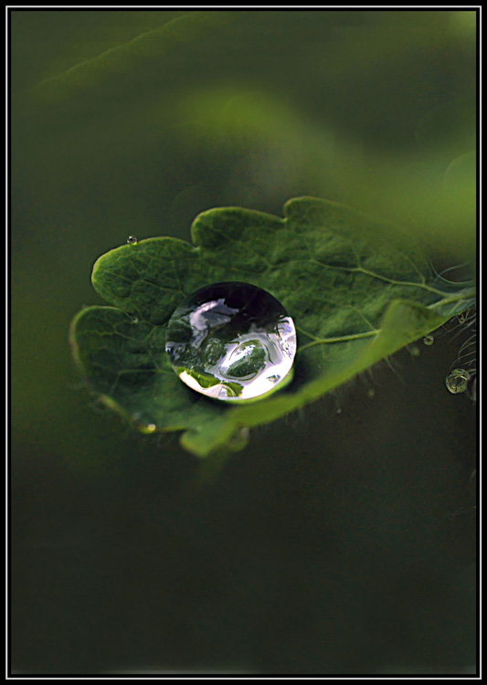 con la goccia in mano