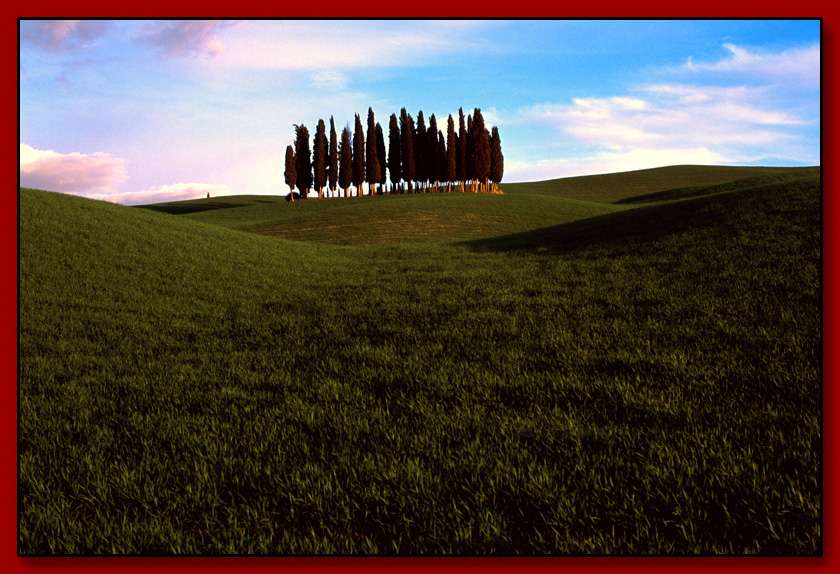 cipressi in val d' orcia (centrali)