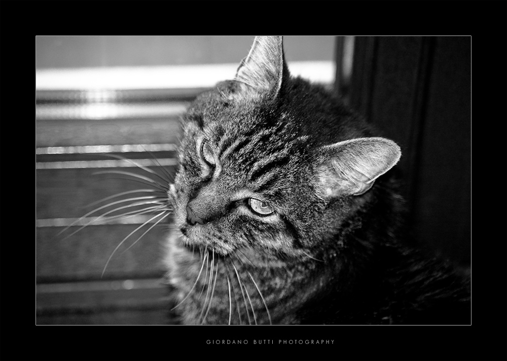 e mo tu ...che voi?!