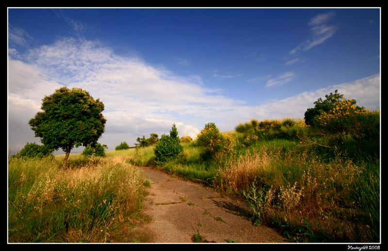 ...sentiero natura...