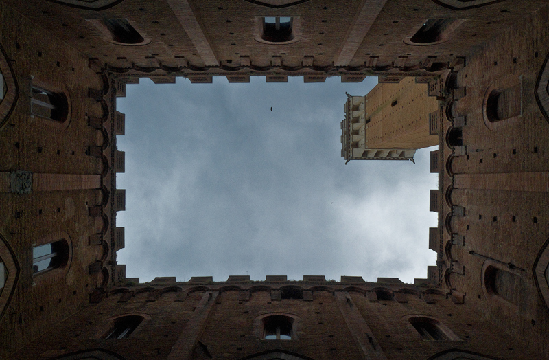 A siena col naso all'ins�