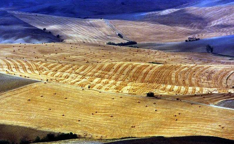 Paesaggio toscano.