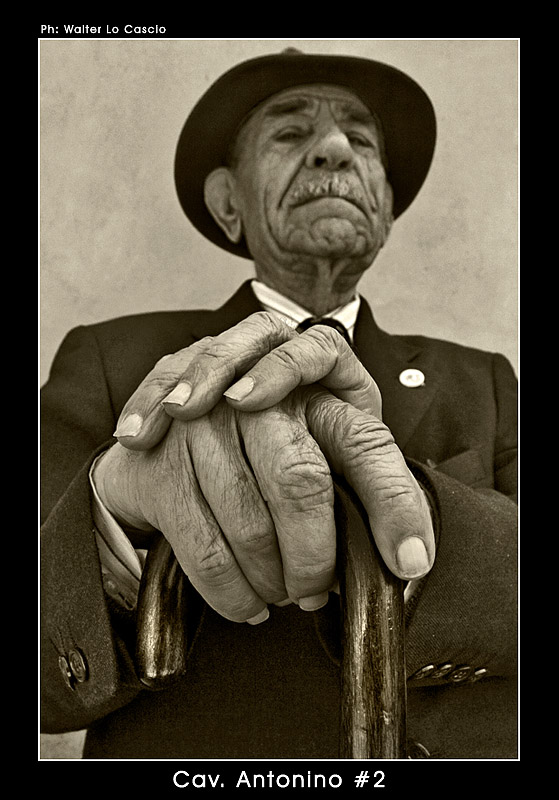 Cav. Antonino #2