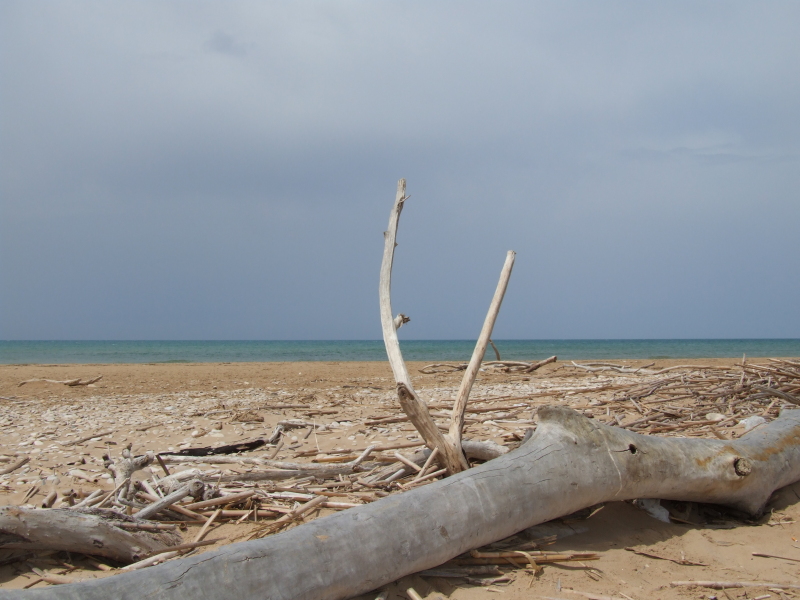 la quiete dopo la tempesta
