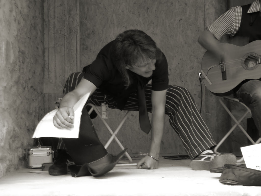 le fatiche dell'artista