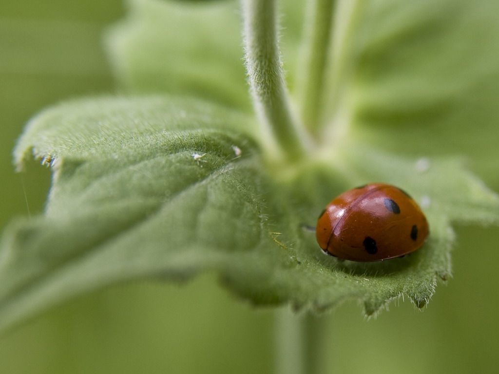 sssss.....qui si dorme..