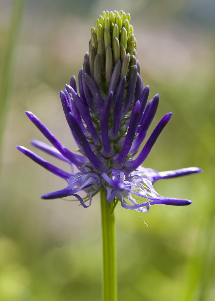 oggi � un nuovo giorno...
