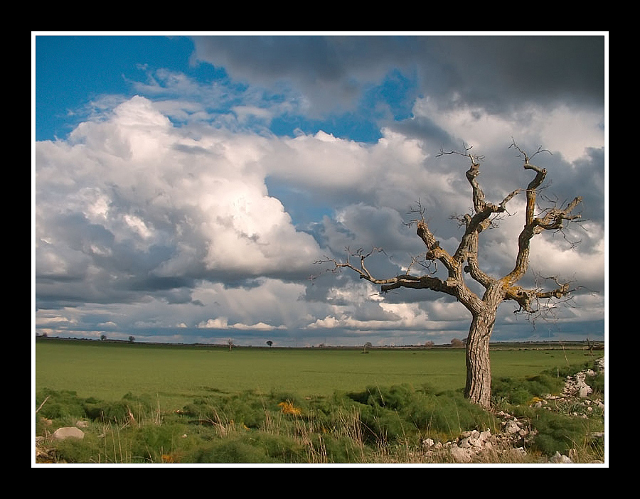 ...L� da solo a sfidar...