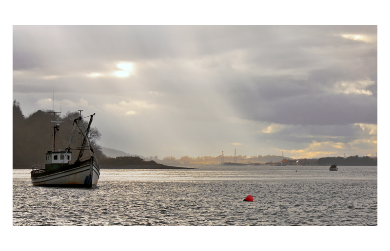 Pescereccio in East Cork Ireland