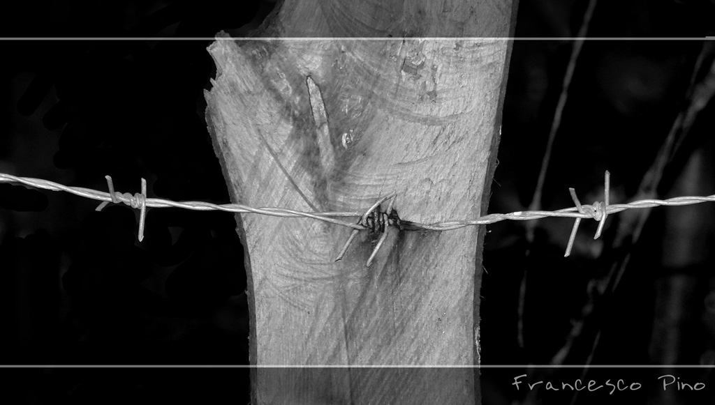 mezzo tronco e filo