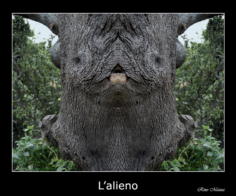L'alieno