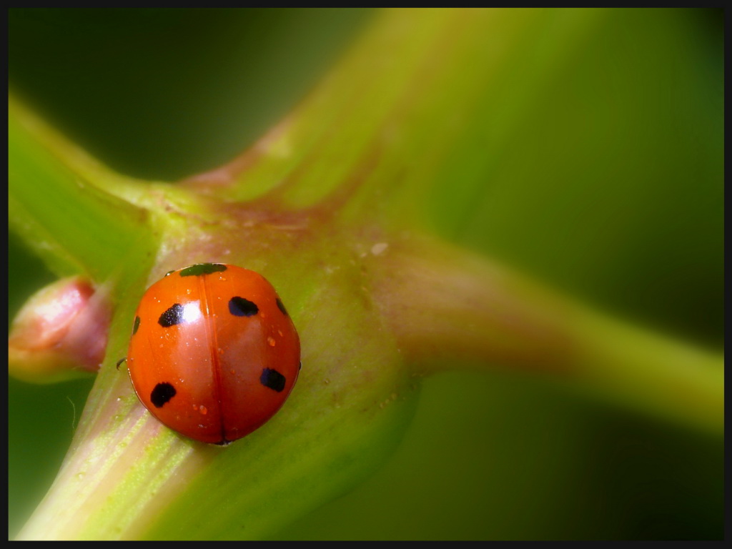 Riposino.... al crocevia