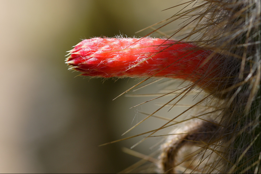 ? ? ? ? ? ? ? ? ? ? ?